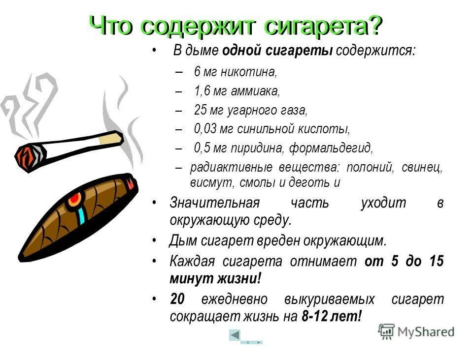 Что содержится в классе. Что содержится в классе