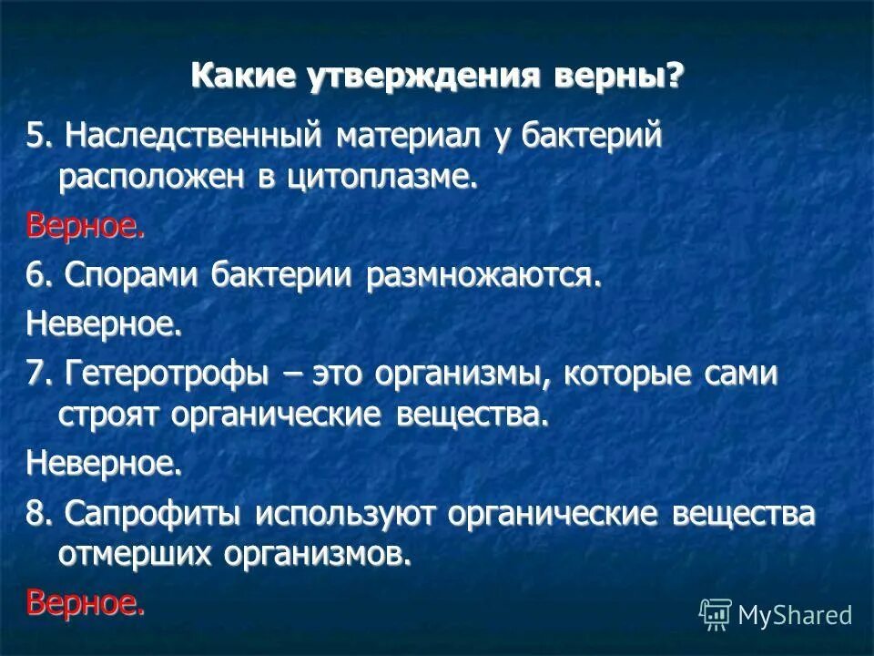 Верное утверждение о бактериях. Верные утверждения о бактериях. Наследственный материал бактерий. Выберите верные утверждения размножаются бактерии спорами. Выбери все верные утверждения о бактериях..