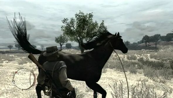 Рдр 2 где найти самую лучшую лошадь. Арабская лошадь рдр 2. rdr 2 чистокровная. арабская рдр 2. red dead redemption арабский скакун.
