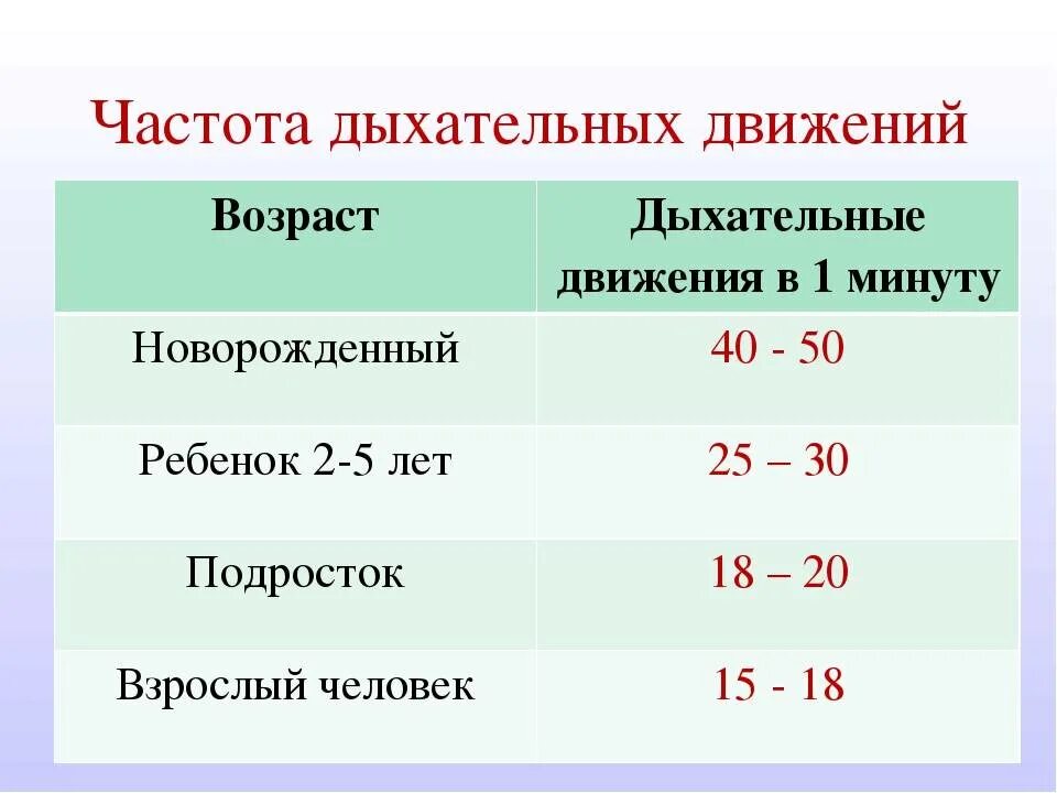 Какая температура после физической нагрузки. Частота дыхания человека в норме. Частота дыхания норма у взрослых. Частота дыхательных движений в норме. Частота дыхательных движений в минуту в норме.