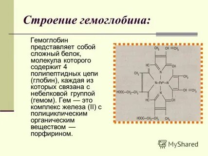 Уровень структурной организации гемоглобина