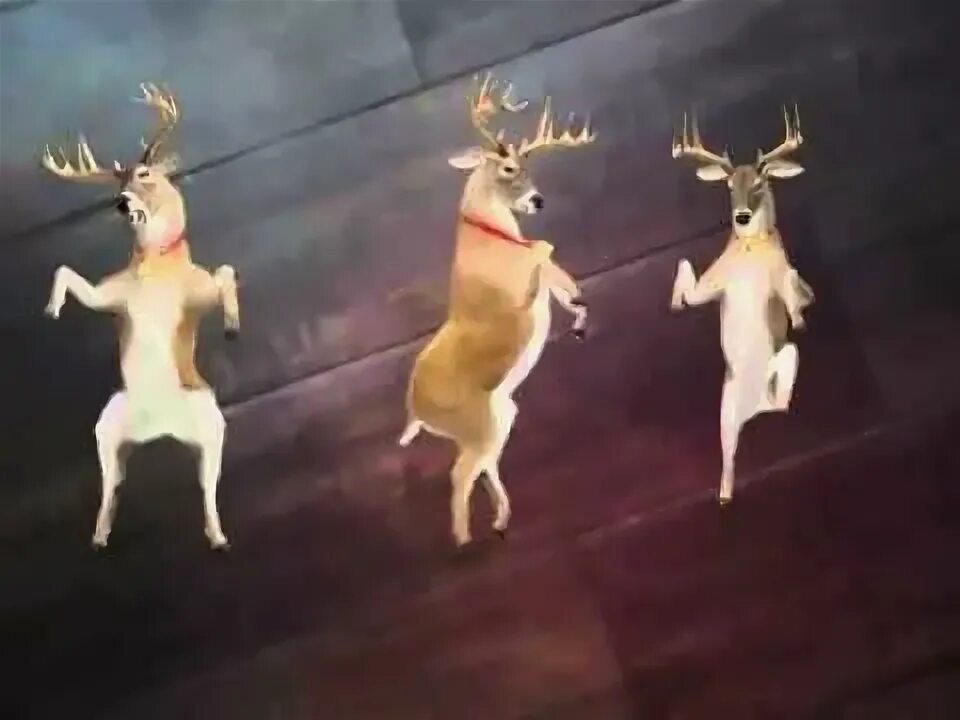 Новогодние танцующие олени. Новогодние танцующие олени. Deer dance. Deer dance. Олень танцует.