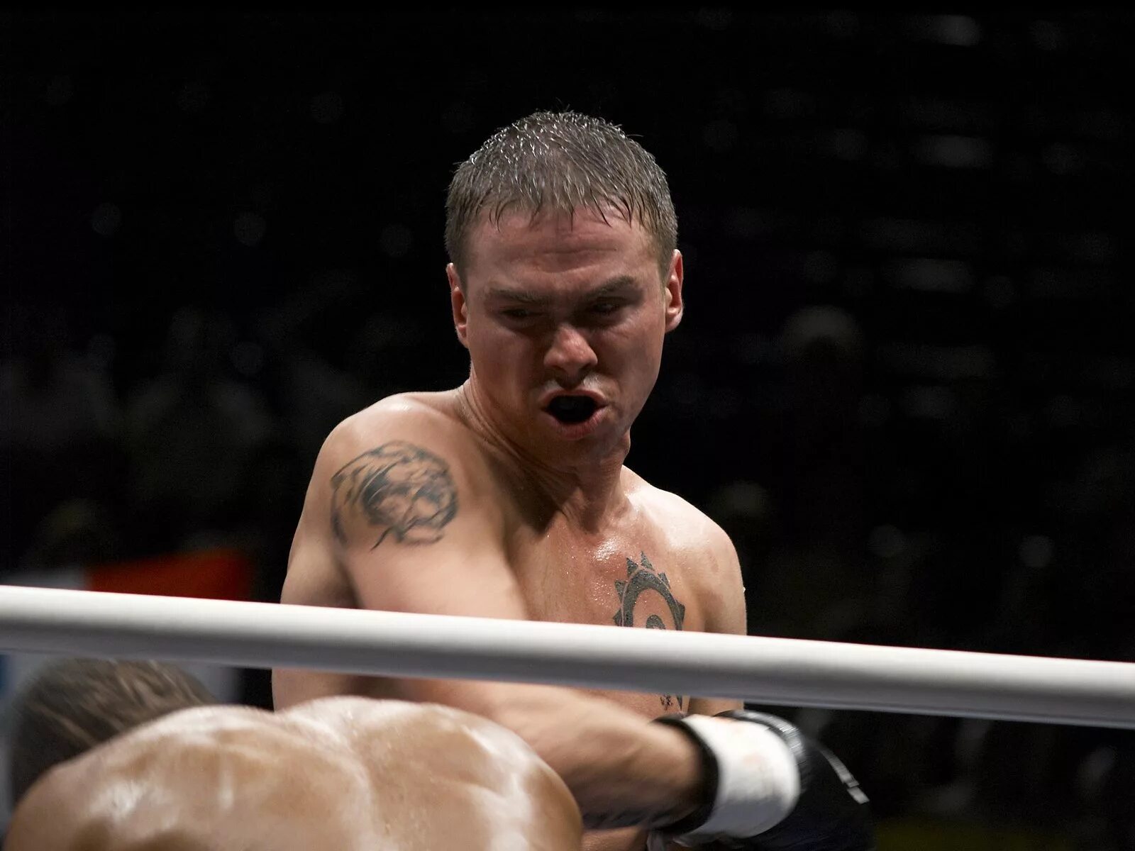 денис никифоров бой с тенью. бой с тенью с артемом колчиным. денис никифоров артём колчин. бой с тенью 3 - последний раунд 2011 обложка двд. артем колчин бой с тенью.