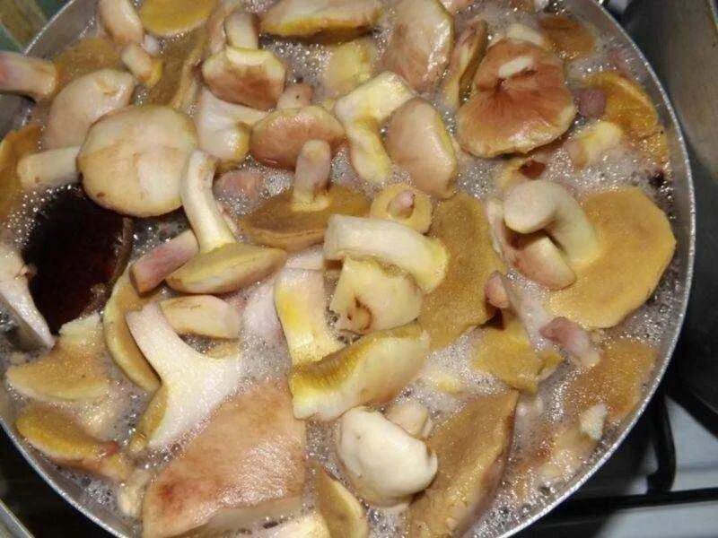 Маринованные грибы можно жарить с картошкой. Грибы маслята жареные с луком. маслята жареные с картошкой. маслята что приготовить. приготовить грибы маслята.