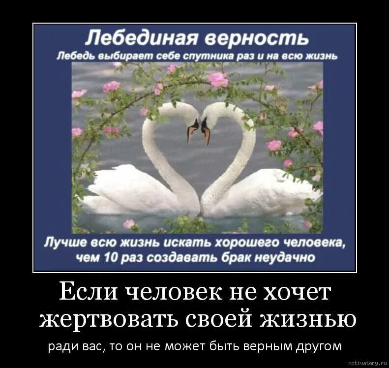 Дайте определение выражению верность своему слову. Кто пожертвовал своей жизнью ради других. пожертвовать своими интересами ради других фото. выбирая верность человек жертвует. всегда найдутся желающие пожертвовать вами.