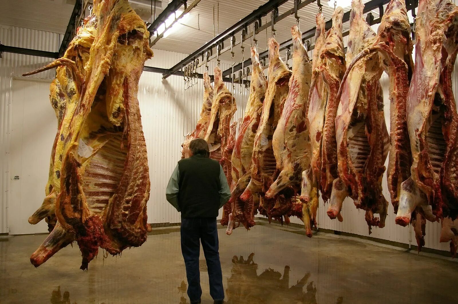 Продукты убоя это. Предприятий мясной промышленности. Продукты убоя это. Халяльное оборудование по забою крс. Продукты убоя это.