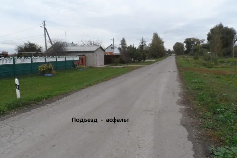 Добрые пчелы рязанская. Деревня добрые пчелы.