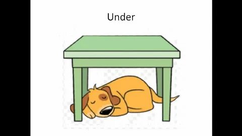 The dog is behind the table