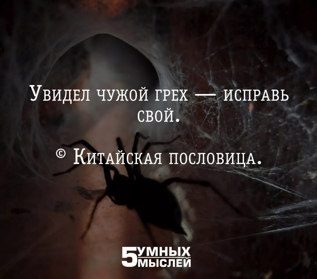 Думай развивайся. Гармония внутреннего мира. Уроки жизни цитаты. Не очаровываться чтобы не разочаровываться. Афоризмы.