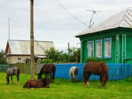 А 4 2 часа в деревне