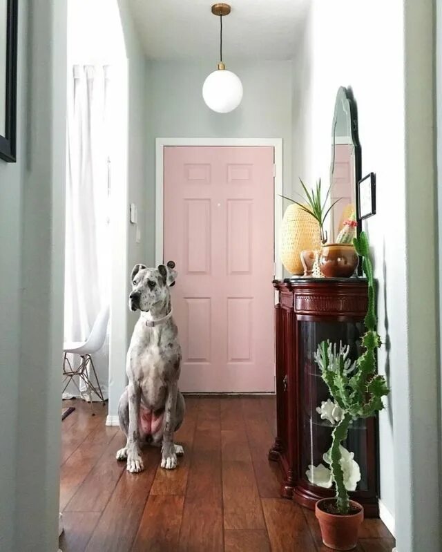 Как выглядит собака интерьер Emily & Erick’s Modern Eclectic British Eccentric Bungalow Eccentric, Dogs, Indo