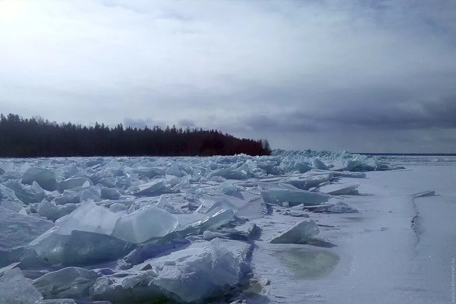 через торосы ладожского льда. торосы ладожское озеро видлица. торосы на чудском озере. торосы в ленинградской области. озеро торос в карелии зимой.