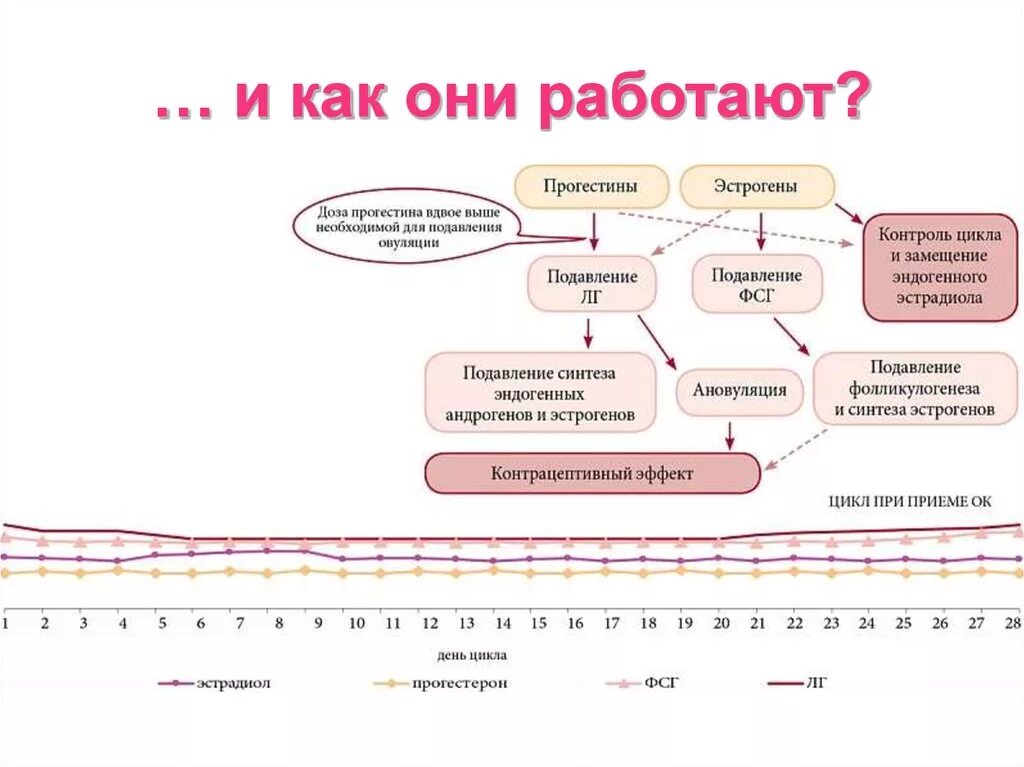 Цикл при приеме противозачаточных