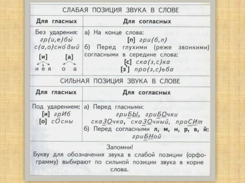 Записать звуками слова тетрадь. Сильные и слабые позиции гласных звуков. Сильные и слабые позиции гласных и согласных звуков. Слабая позиция согласного звука в слове. Слабые и сильные позиции в слове.