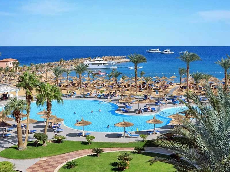 Бич Альбатрос Резорт Египет. Отель Beach Albatros Resort 4. Египет Альбатрос Бич Хургада 4. Отель Египет Beach Albatros Resort Hurghada 4 *.