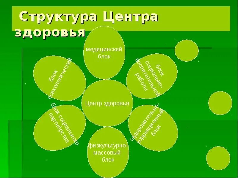 Цели центров здоровья. Структура центра здоровья. Структура и организация работы центра здоровья. Схема структуры центра здоровья. Структура организации центра здоровья.