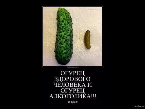 Не до завтрака, когда даже огурец хочется сосать, а не есть
