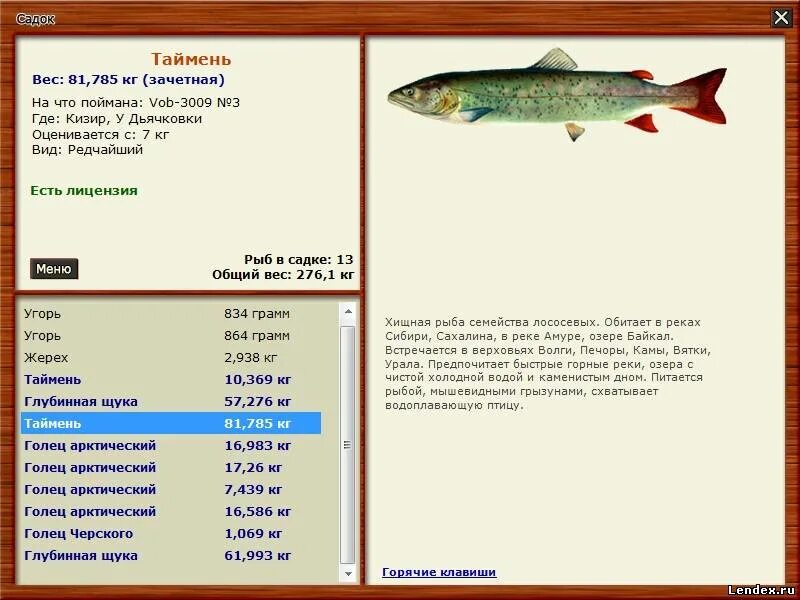 Русская рыбалка 3 6 озеро. Русская рыбалка 3.6 озеро Байкал. Русская рыбалка 3 7 4 Байкал язь. Таймень вес. Таймень Макс вес.