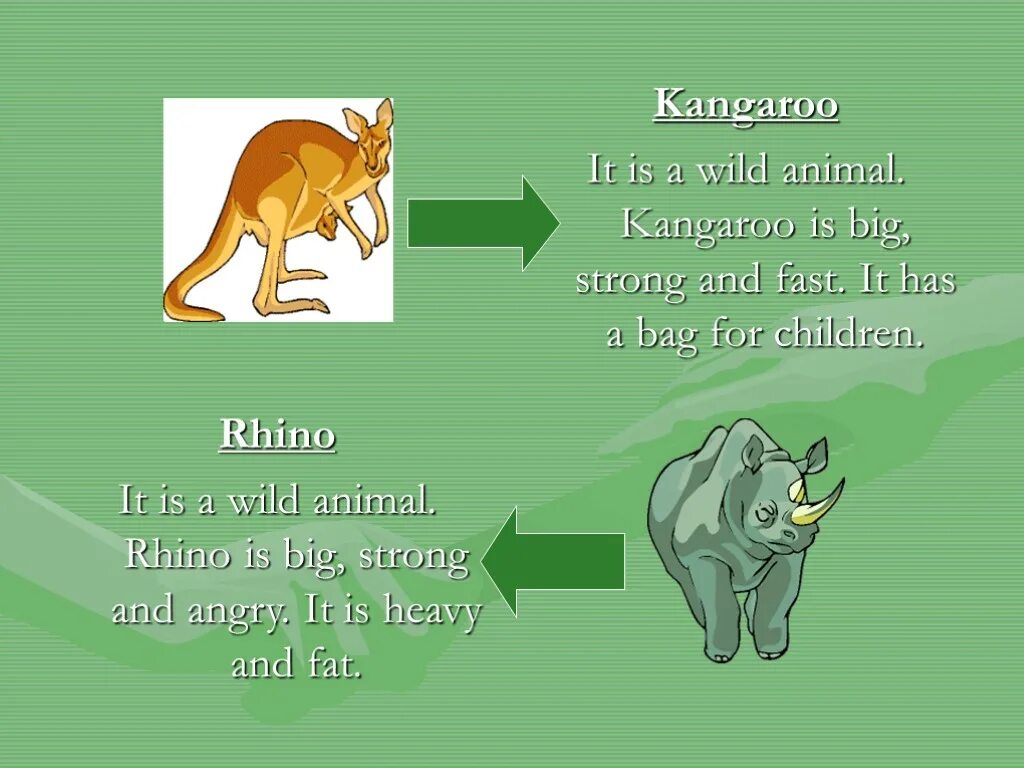 Animals презентация. Wild animals презентация. Презентация animals domestic Wild. Презентация на тему животные по английскому.