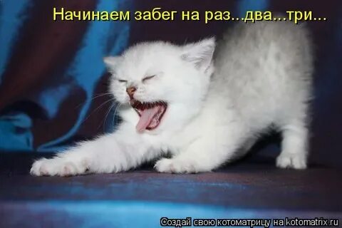 Ну закрыл