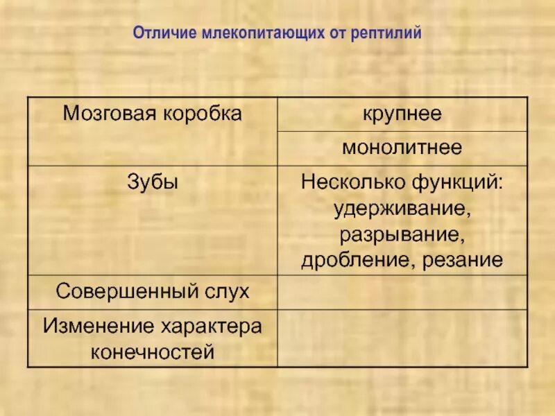 Отличие млекопитающих от рептилий. Млекопитающие и пресмыкающиеся отличия. Различия млекопитающих и пресмыкающихся. Сходства и различия млекопитающих и рептилий. Сходства и различия млекопитающих и пресмыкающихся