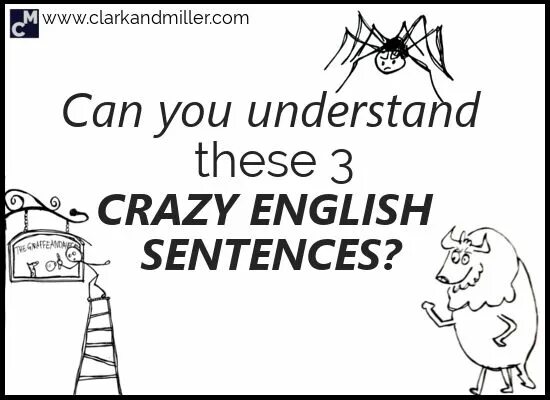 Crazy sentences