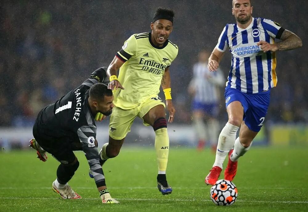 Брайтон арсенал прямая. Арсенал брайтон. arsenal brighton. брайтон итальянский защитник. арсенал - брайтон энд хав альбион бесплатный прогноз.