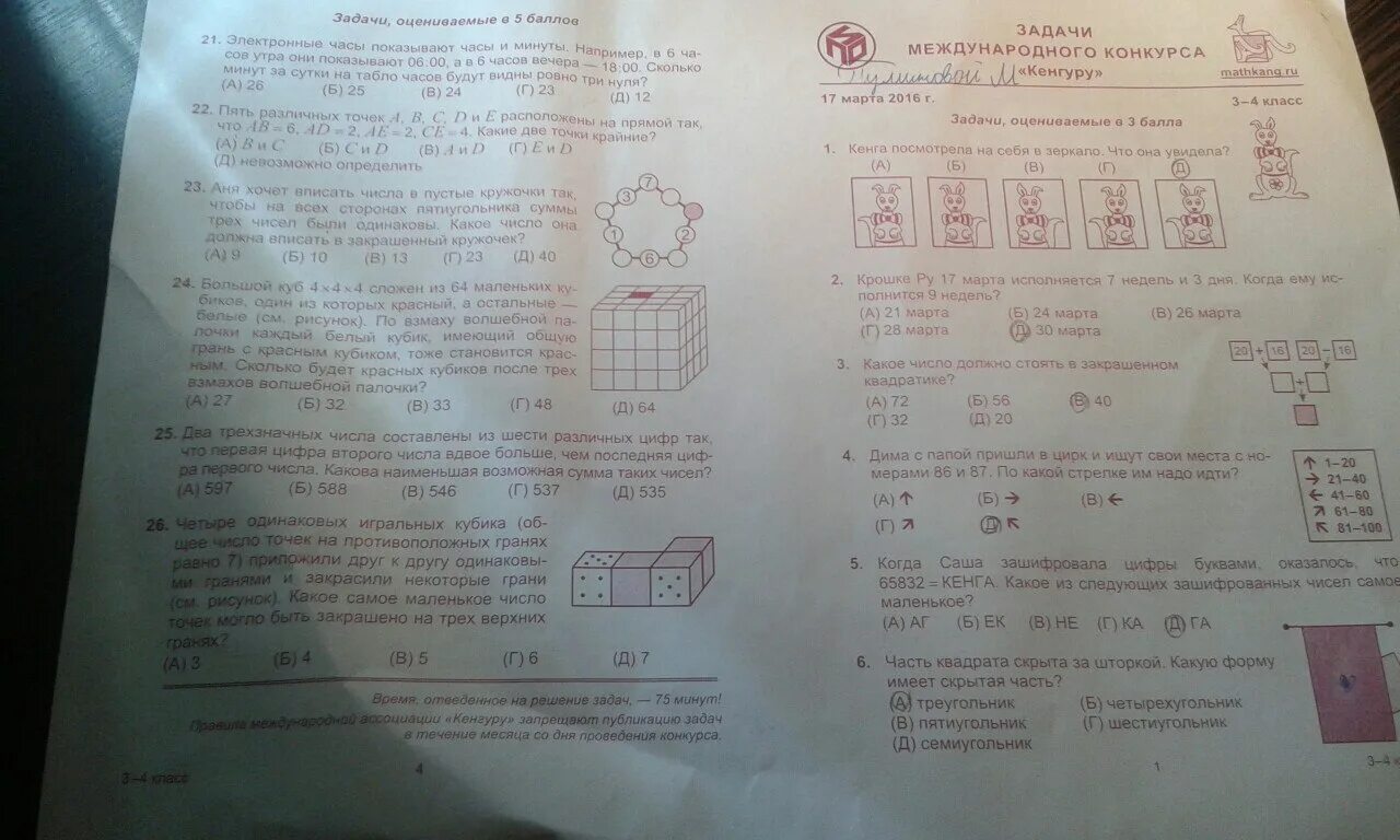 Кенгуру ру ответы 2024