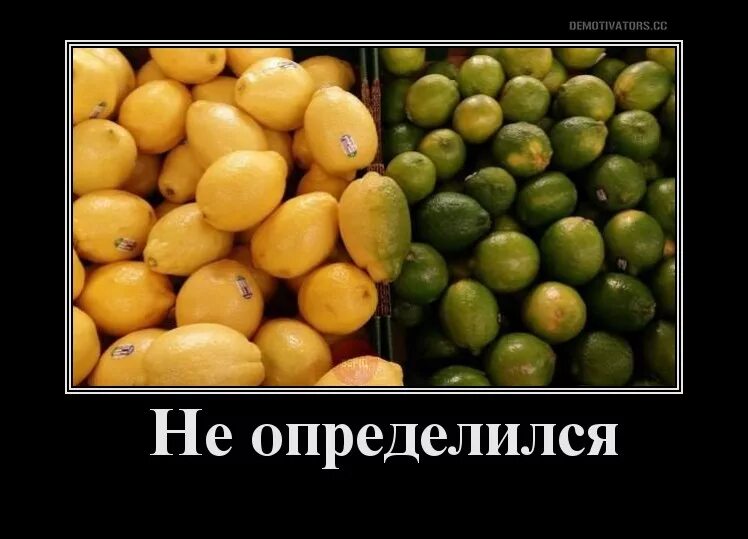 Не определился. Встретимся сегодня вечером. Не определился. Я определился. Не определился с полом.