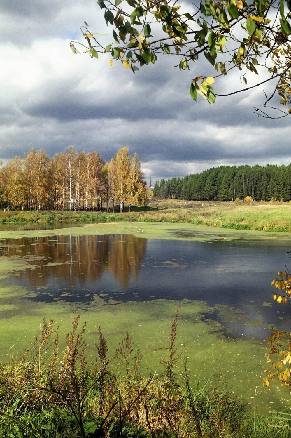 Пушкин осень уж небо осенью. Уж небо осенью дышало фотография. Уж небо осенью дышало. Лето осенью дышало. Лето осенью дышало.