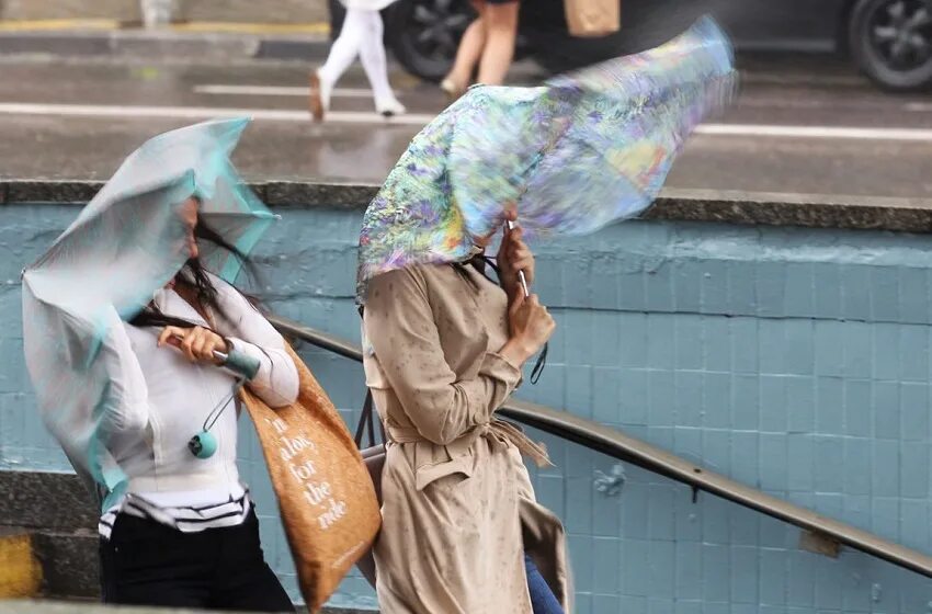 Когда будет сильный ветер. Сильный ветер в Москве. Сильный ветер и зонт. Ветер зонтик. Усиление ветра.