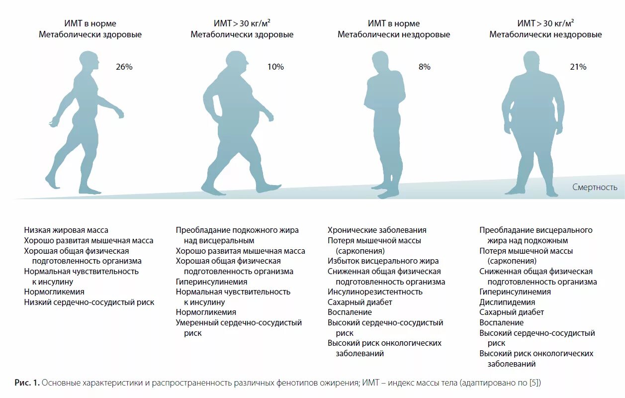 Заболевание низкий вес. Фенотипы ожирения метаболически здоровое. Сравнительная характеристика разных фенотипов ожирения. Клинические проявления ожирения. Избыточная масса тела и ожирение.