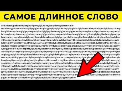 Самое длинное слово в мире название