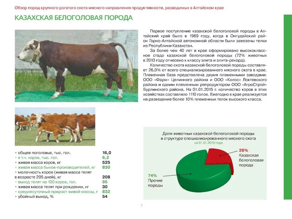 Казахская белоголовая породы крупного рогатого скота. Ферма для мясных пород КРС. Мясные породы КРС таблица. Характеристика основных пород крупного рогатого скота таблица. Прирост теленка