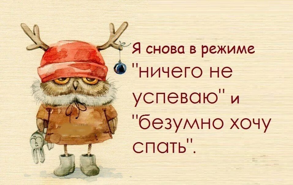 Цитаты про новый год со смыслом. Рисунки Инги Пальцер. Цитаты про зиму смешные. Весёлые афоризмы про зиму. Зима цитаты Веселые.