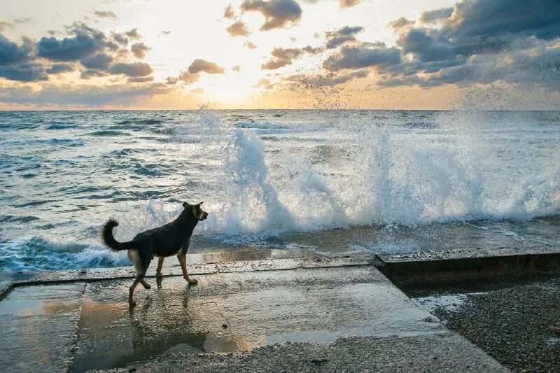 бесконечное море жизни. никогда не кончается море. никогда не кончается море. где заканчивается море. никогда не кончается море.