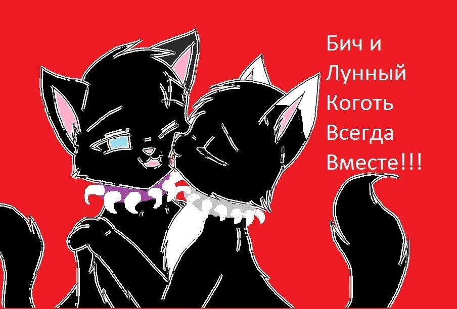 Полоса и бич. Коты Воители Бич и лунный коготь любовь. Коты Воители Бич и лунный коготь. Лунный коготь. Бич и лунный коготь.