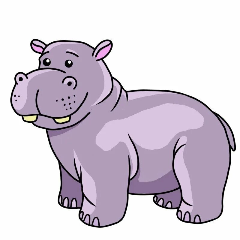 бегемот рисунок для детей карандашом. бегемот рисунок. раскраска малышам "бегемотик". рисунок бегемота для детей. бегемотик иллюстрация.