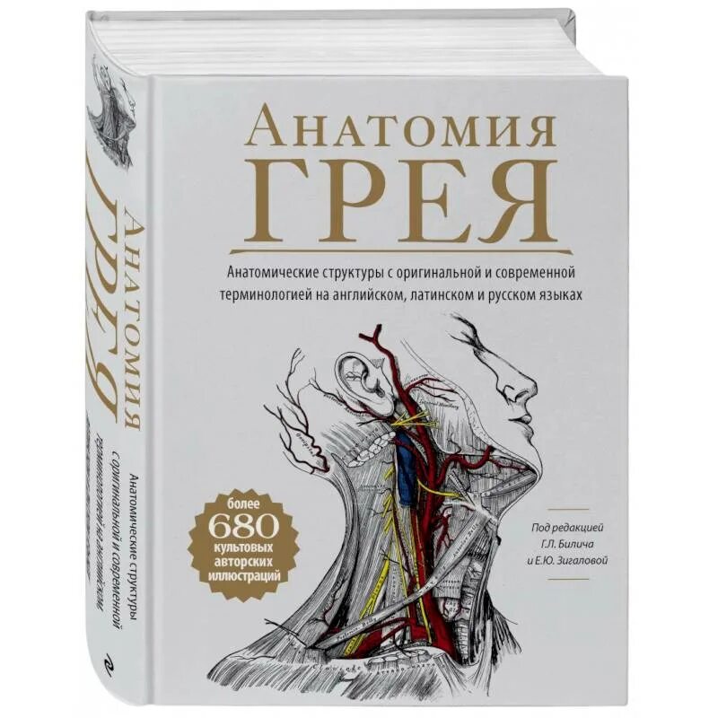 Атлас грея. Анатомия Грея книга. Анатомия обложка. Анатомия книга. Учебник Грея по анатомии.