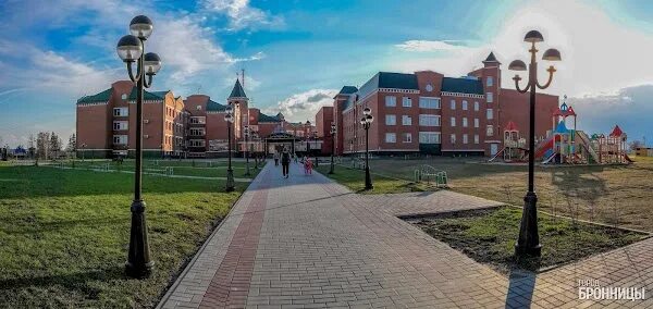 Гимназия пушкина бронницы. Гимназия города Бронницы. Бронницы гимназия им Пушкина. Школы города Бронницы. Гимназия 1 Бронницы официальный сайт.