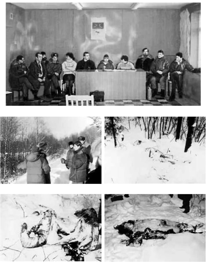 Психология следственного эксперимента. Психология следственного эксперимента