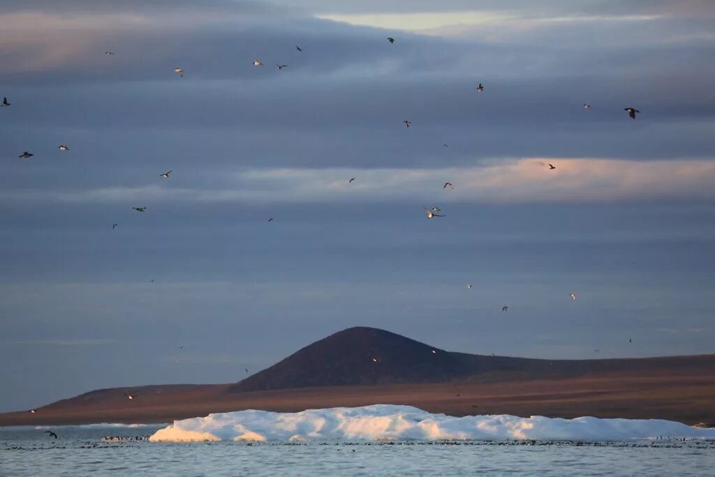 Чукотское море. Покажи чукотское море. Чукотское море географическая карта. Чукотка море. Чукотка океан.