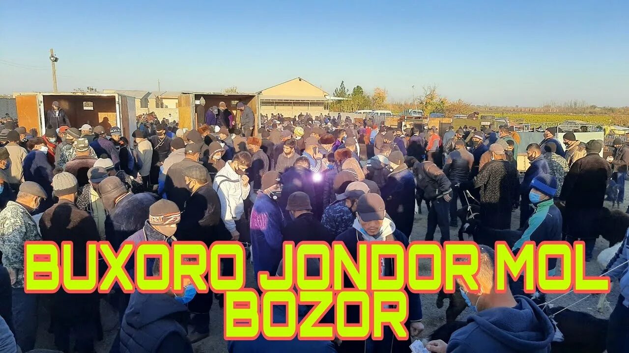 Бухоро вилояти жондор тумани. Бухоро жондор. Buxoro jondor. Бухоро жондор. Пагода бухоро вилояти жондор туман.