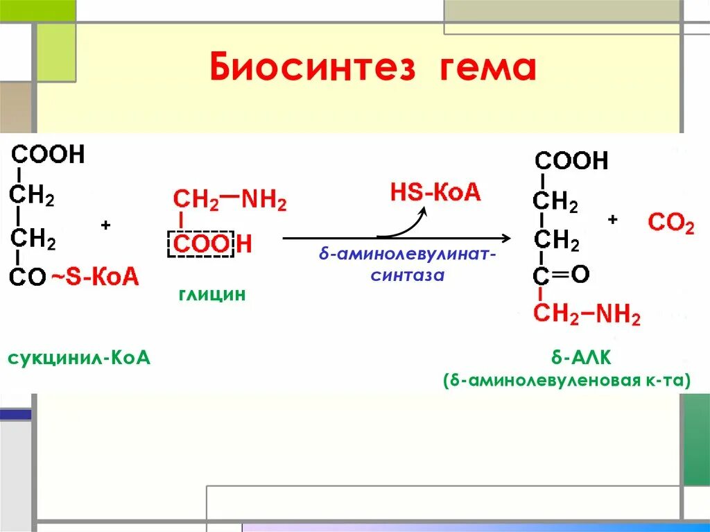 Синтез гему. Синтез гема реакции. Синтез гема аминолевулинатсинтаза. Синтез гема биохимия реакции. Регуляция синтеза гема биохимия.