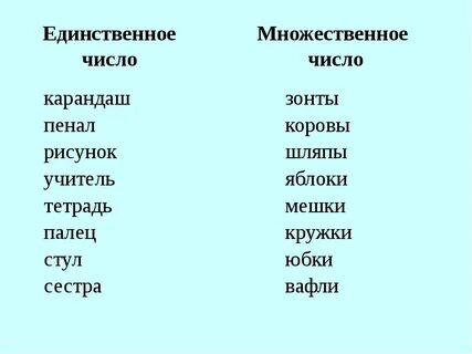 Определи число имен существительных карточки