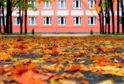 Школа 2 лодейное поле. Школа 2 лодейное. Лодейное поле школа 2 учителя. Династия учителей ларькиных. Учителя школы 68 лодейное поле.