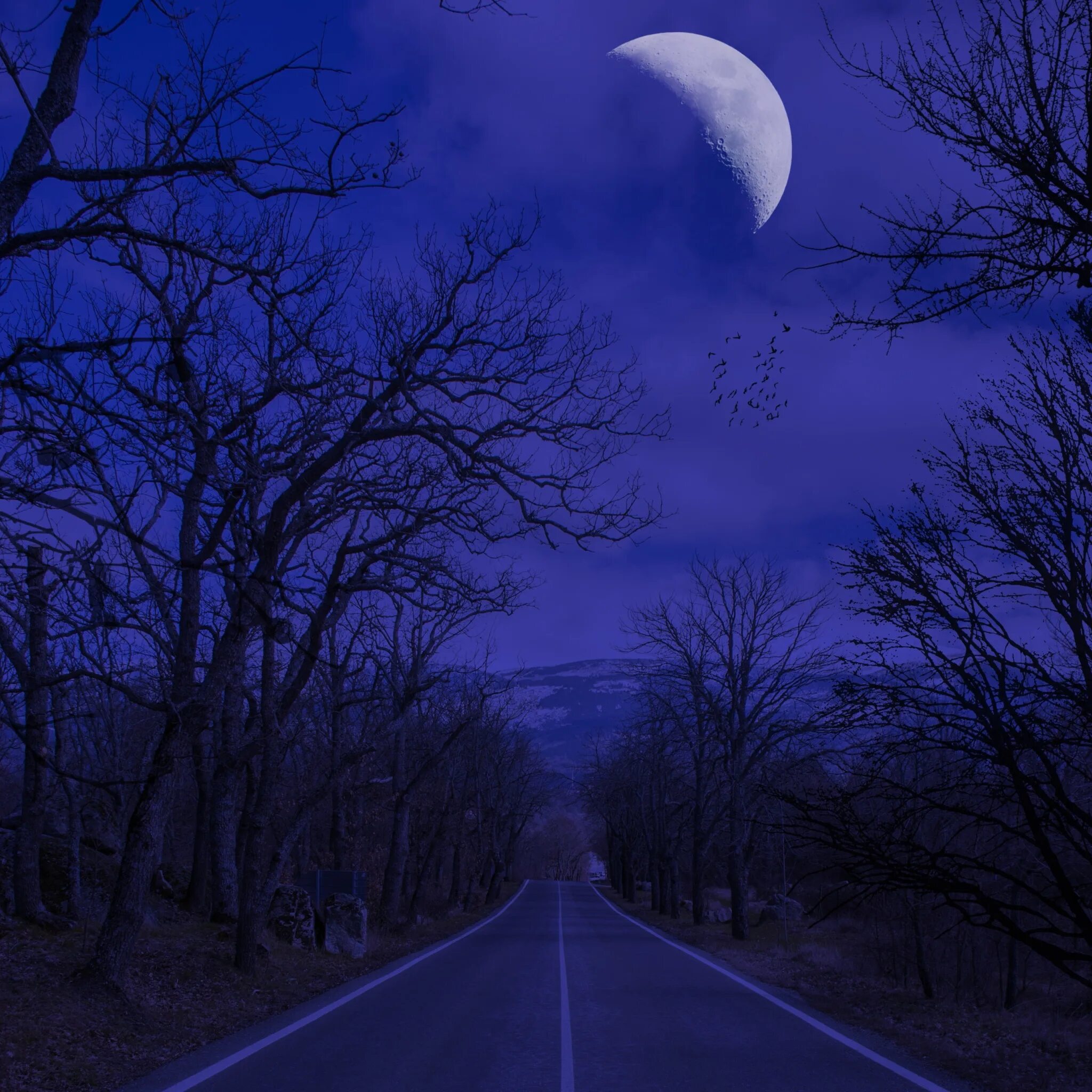 Зимнее небо ночью. Синий вечер. Ночью синей ночью поздней. Над пашней небо голубой и тихий дым кружит. Вечерняя луна.