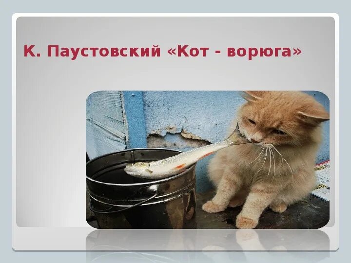 Кот ворюга читать. Кот ворюга. рыжий кот ворюга. паустовский кот.