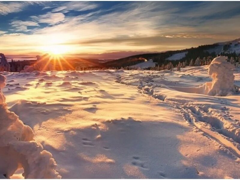 Тусклое зимнее солнце. Зима солнце. Зимний солнечный лес. Морозный рассвет. Солнечная зима.