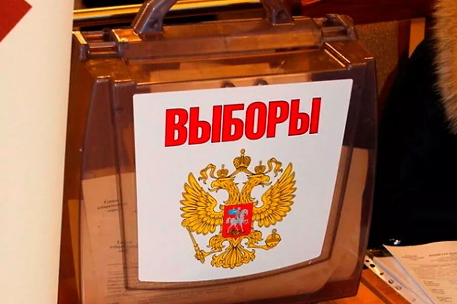 Какие предстоят выборы. Муниципальные выборы. картинки выборов. муниципальные выборы картинки. выборы картинки для презентации.